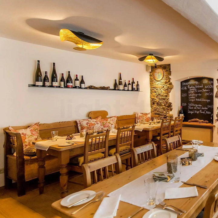 Giorgio Ceiling Light β Elegant Curved Disc Light Fixture | Vinlighting | Vinlighting