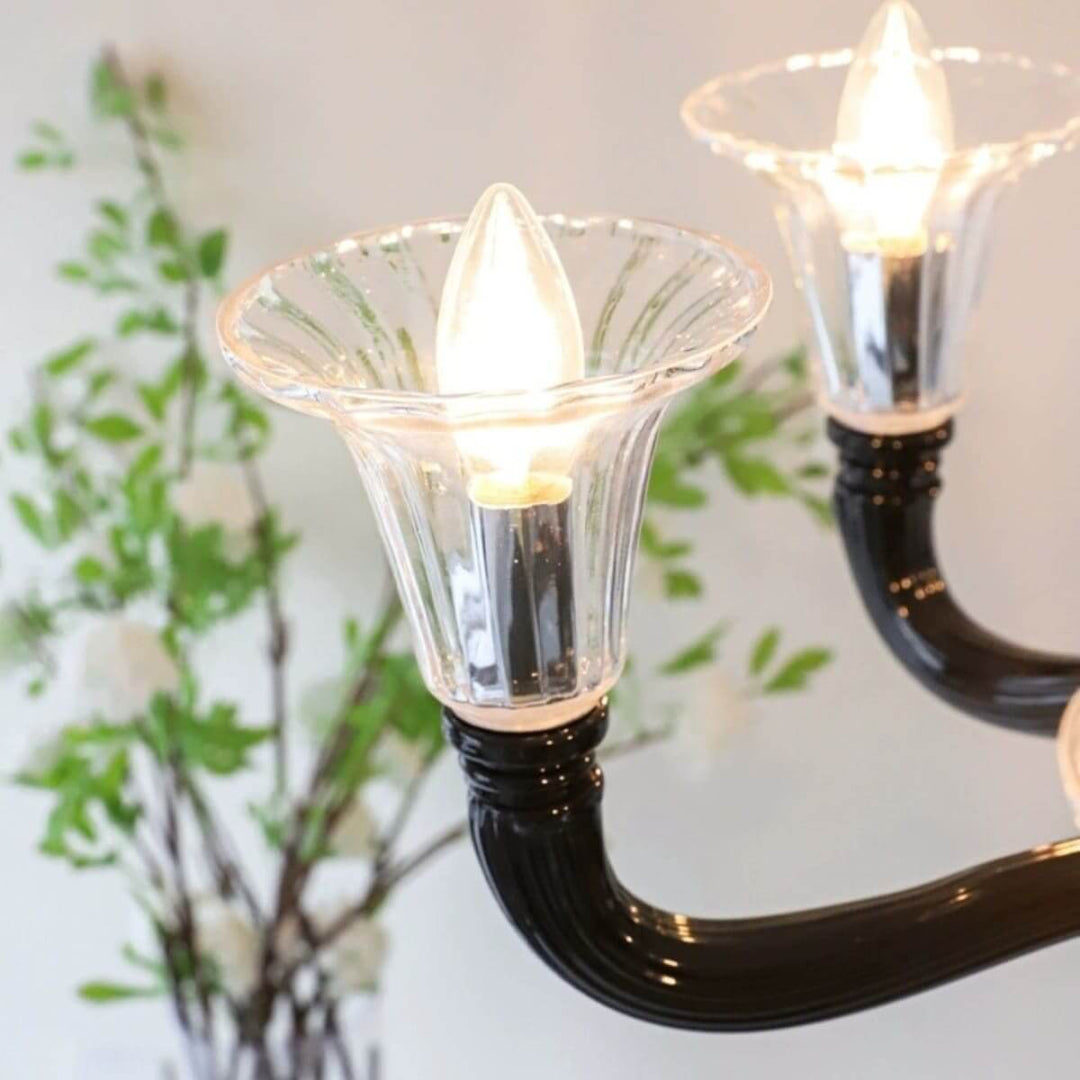 Miloze Chandelier โ Ceiling Chandelier Modern Black Glass