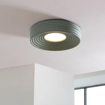 Flush Mount Ceiling Light