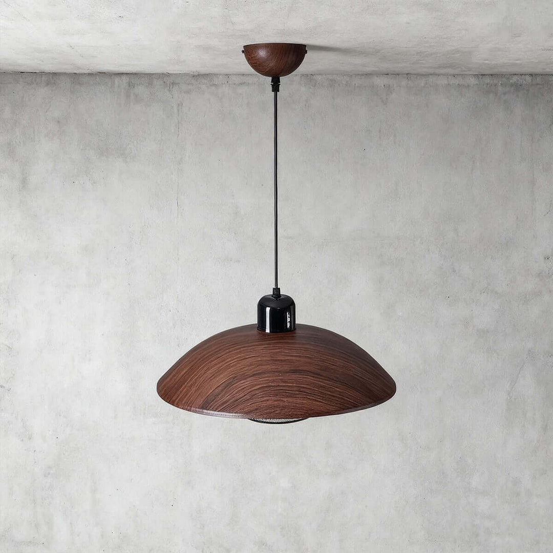 Aldrin Pendant Lamp