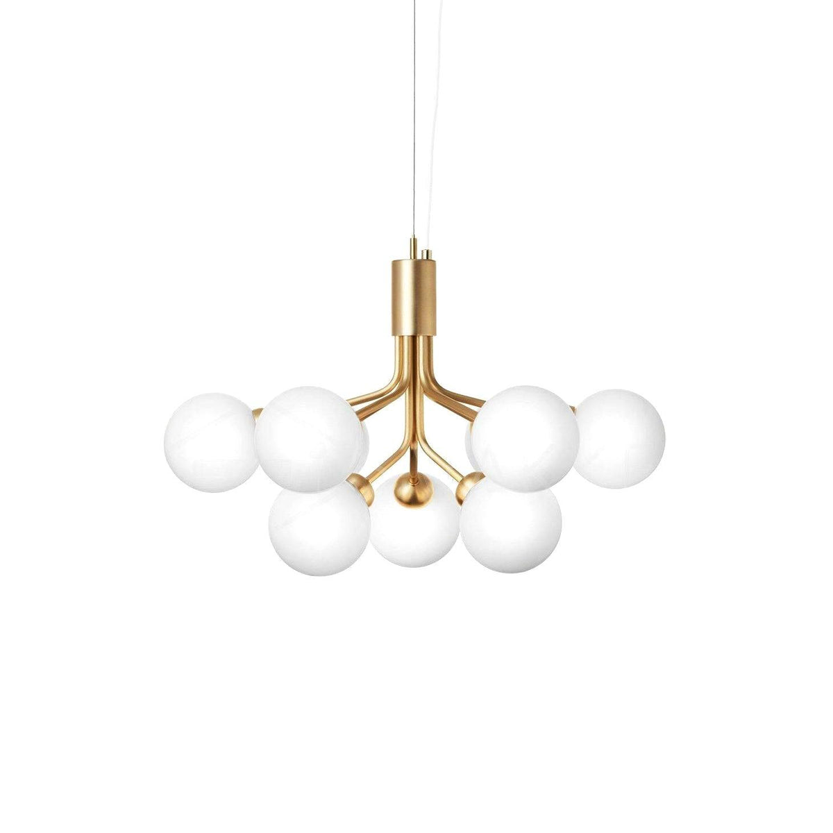 Apiales Chandelier - Vinlighting