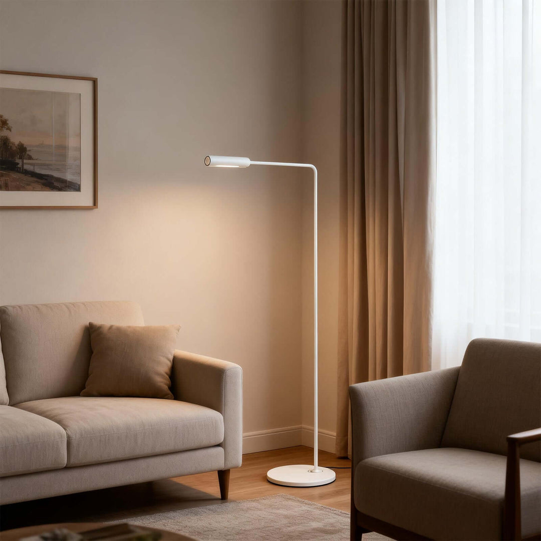 Aqiro Floor Lamp – Minimalist Modern Wrought Iron Floor Lamp