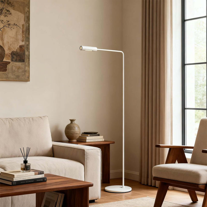 Aqiro Floor Lamp – Minimalist Modern Wrought Iron Floor Lamp