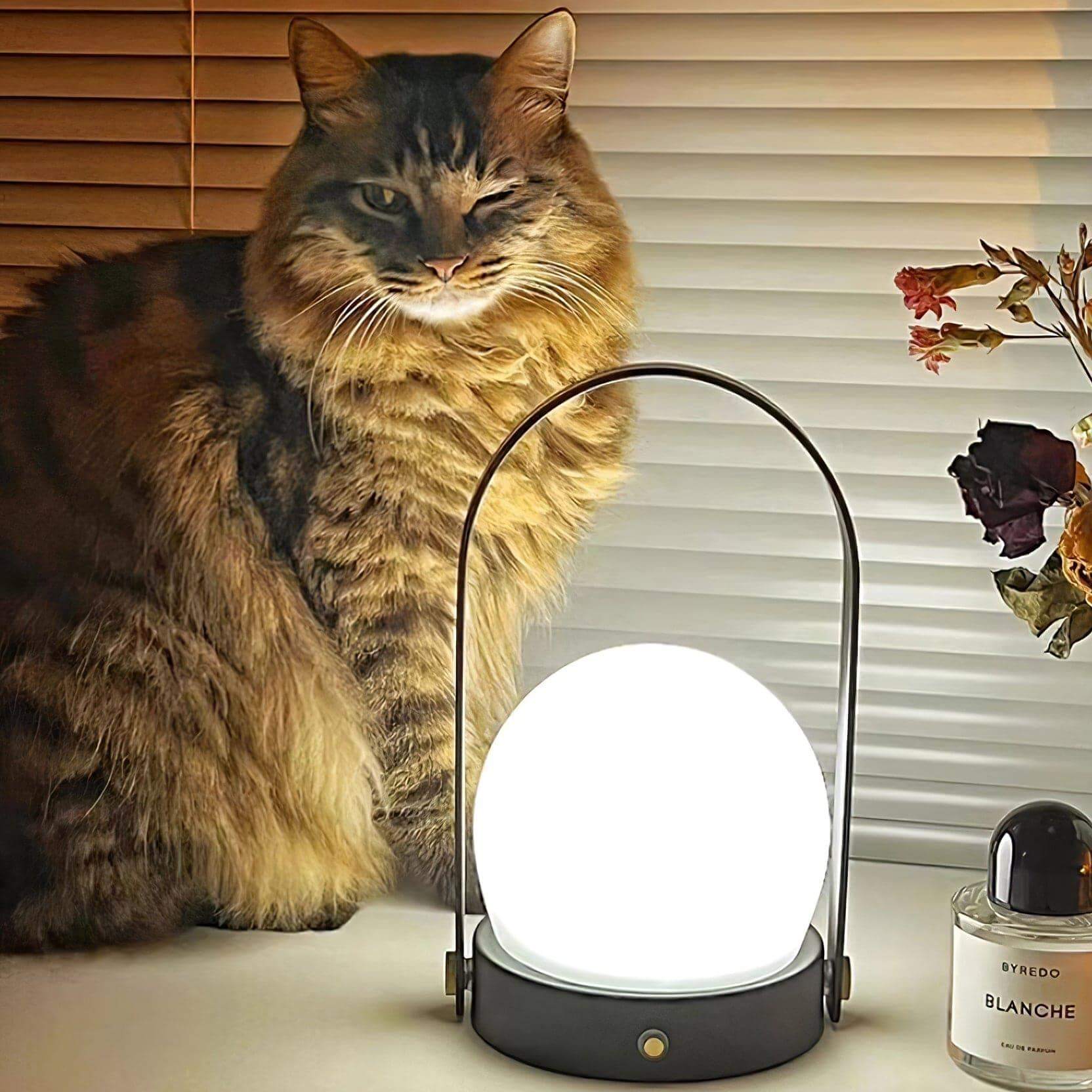 Carrie Portable Table Lamp - Cordless Lamps for Living Room