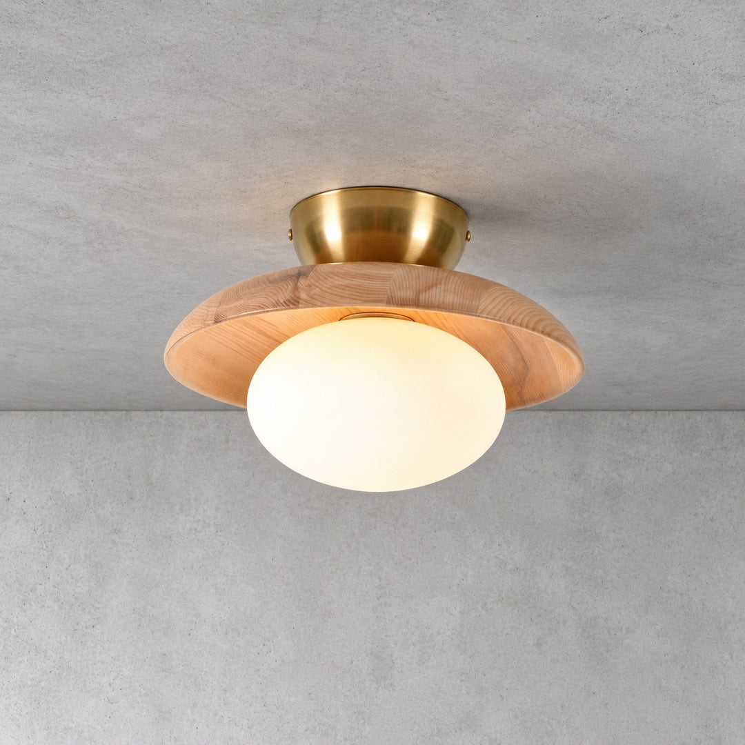 Derava Ceiling Lamp