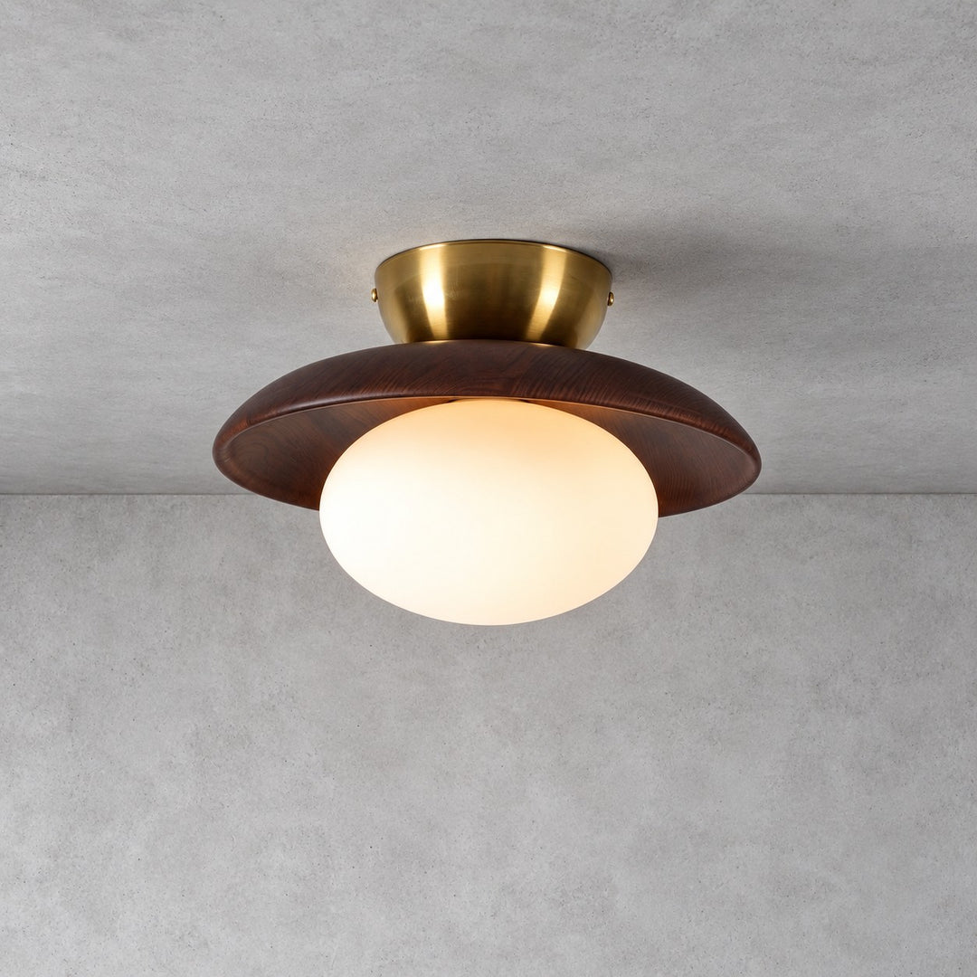 Derava Ceiling Lamp