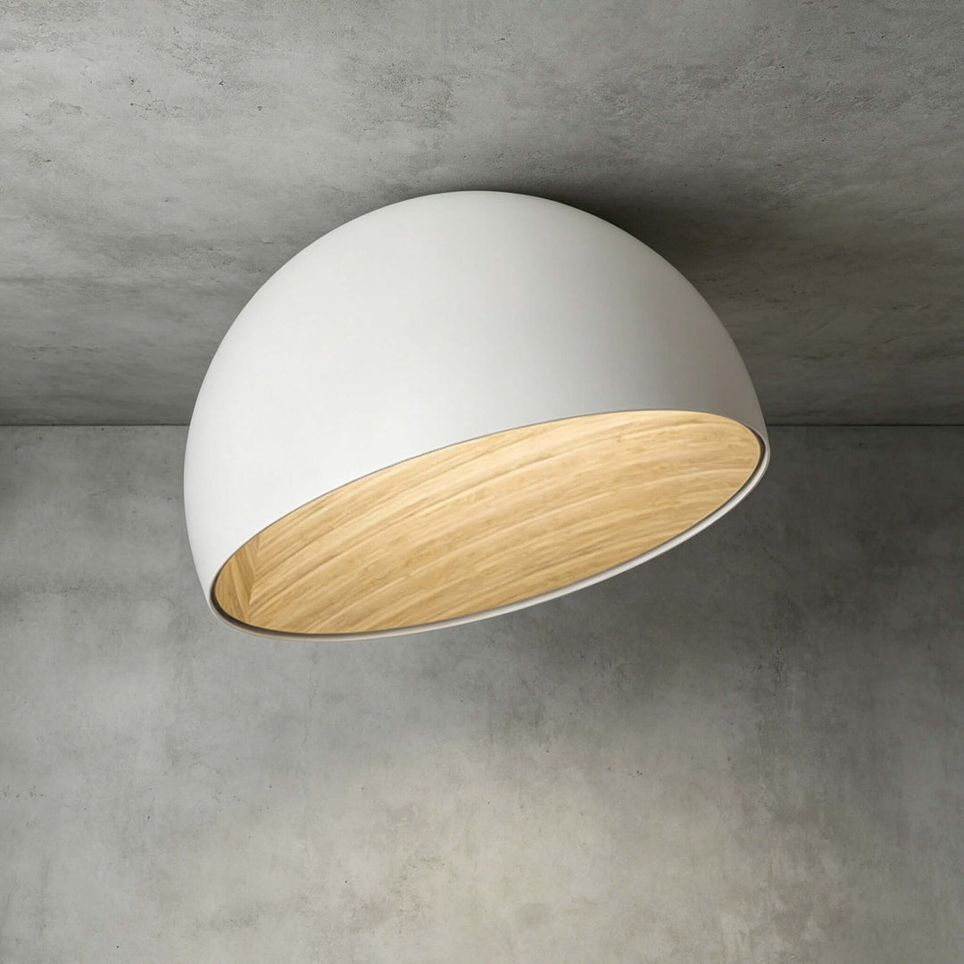 Duo Slanted Ceiling Lamp