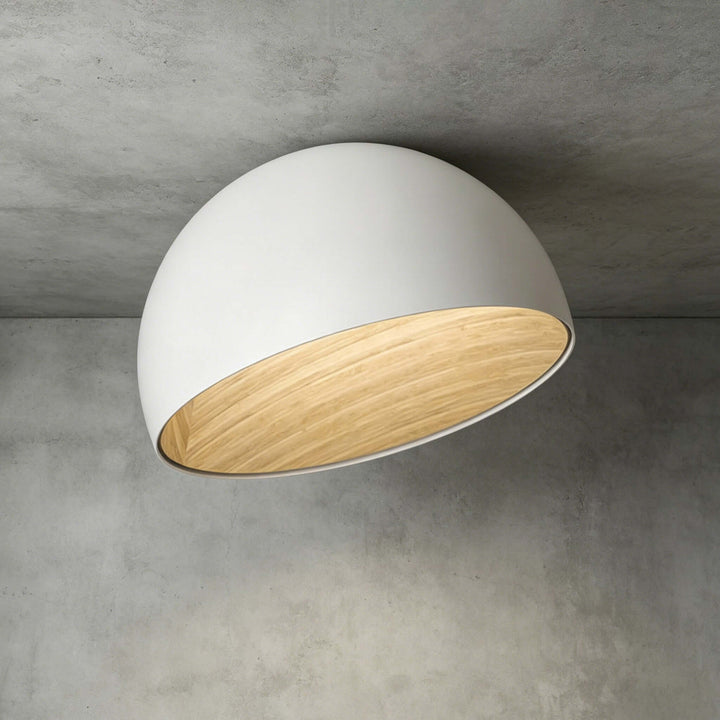 Duo Slanted Ceiling Lamp