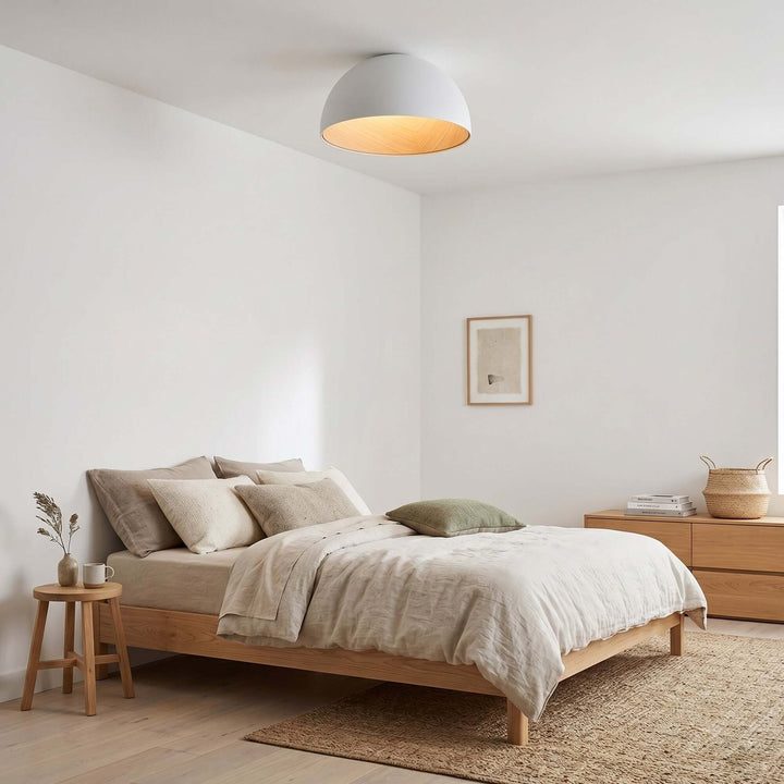Duo Plane Ceiling Lamp