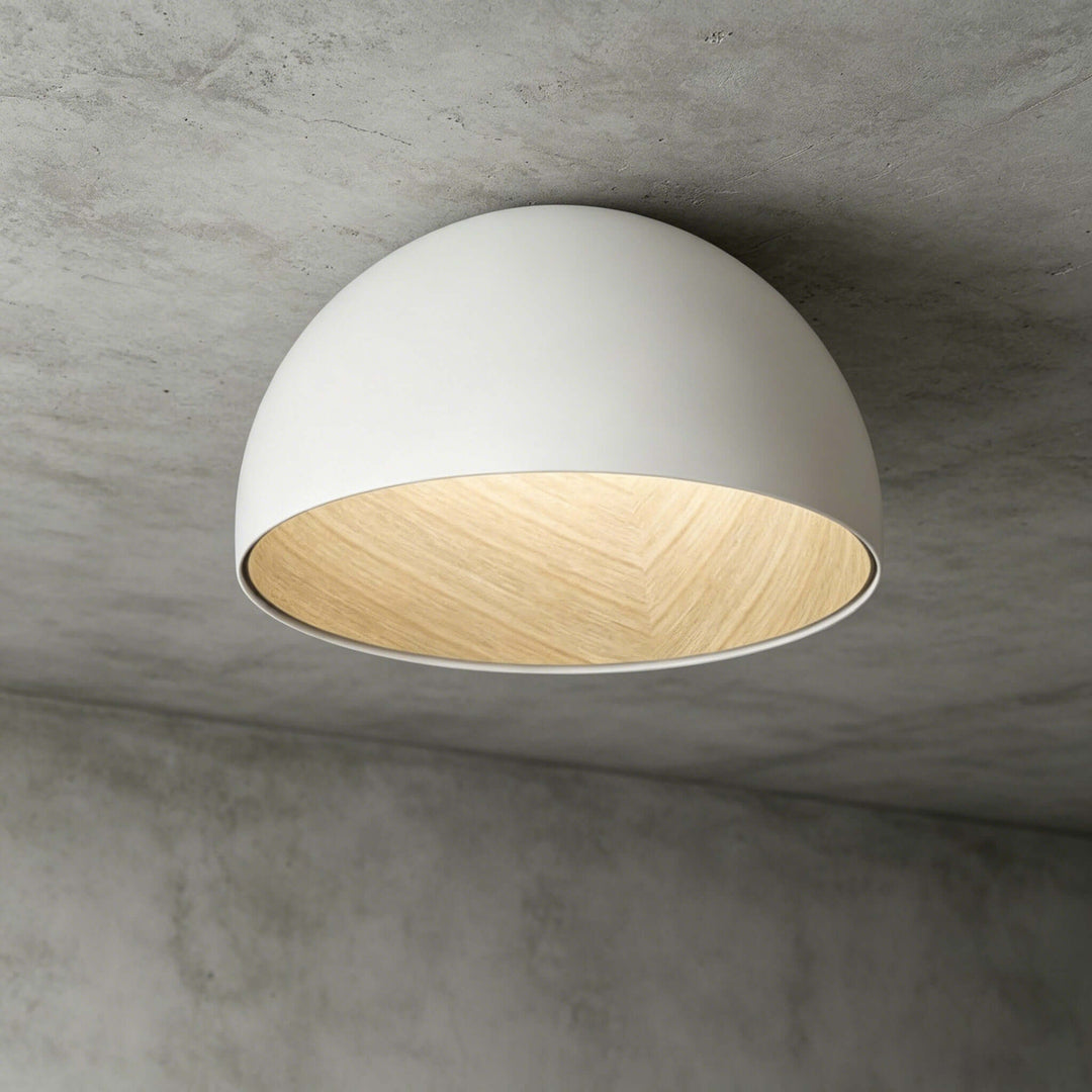 Duo Plane Ceiling Lamp