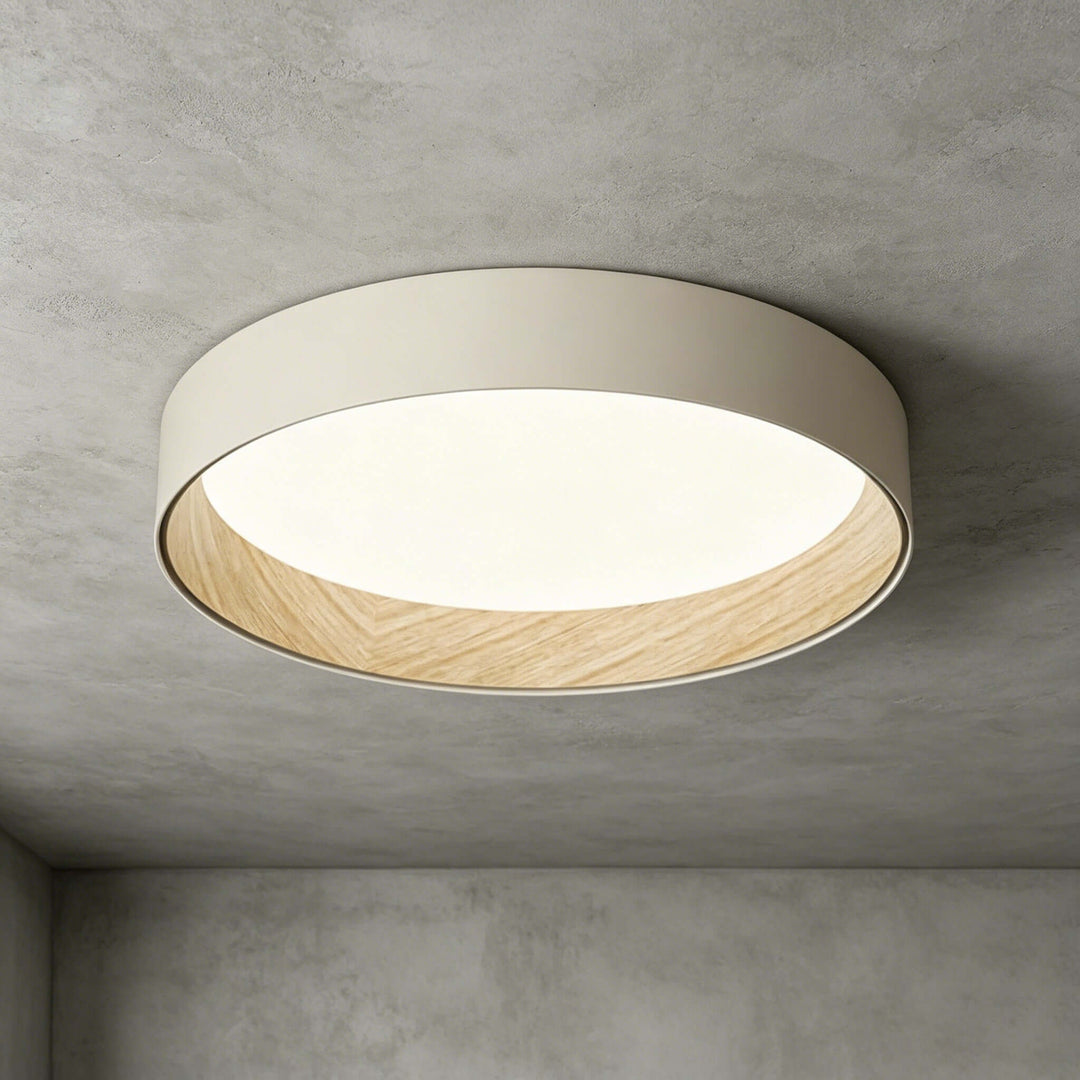 Duo Regular Ceiling Lamp
