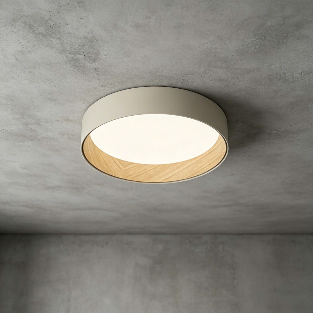 Duo Regular Ceiling Lamp