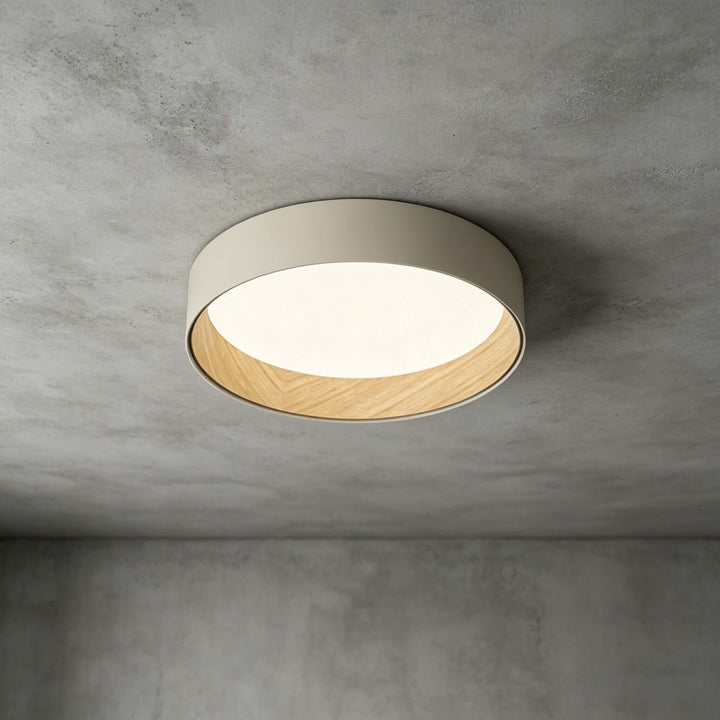 Duo Regular Ceiling Lamp