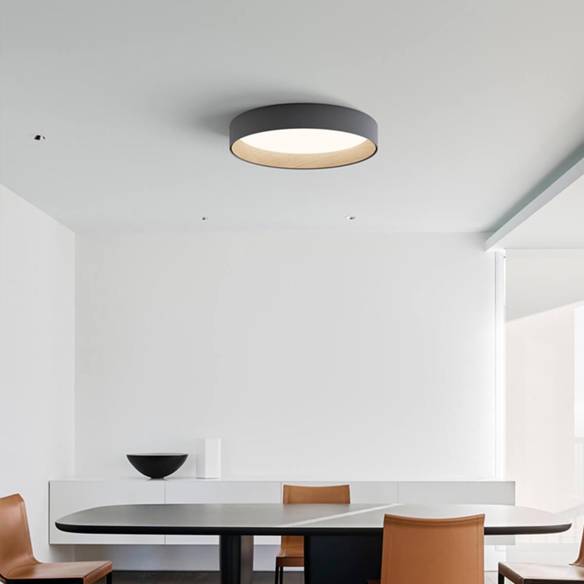 Duo Regular Ceiling Lamp - Vinlighting