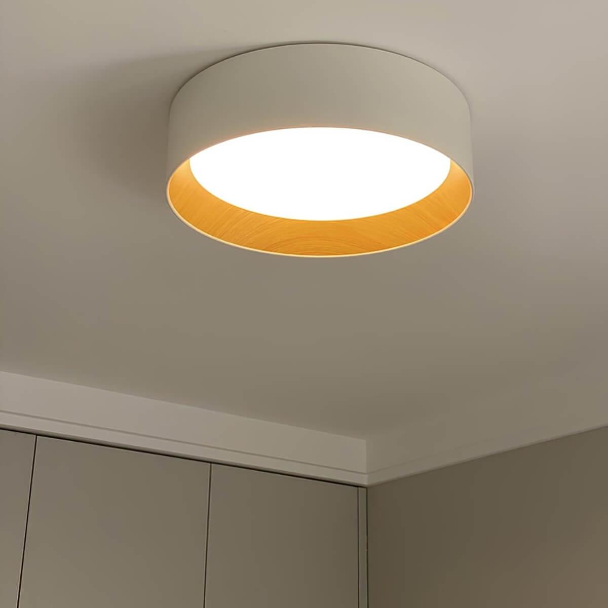 Duo Regular Ceiling Lamp - Vinlighting