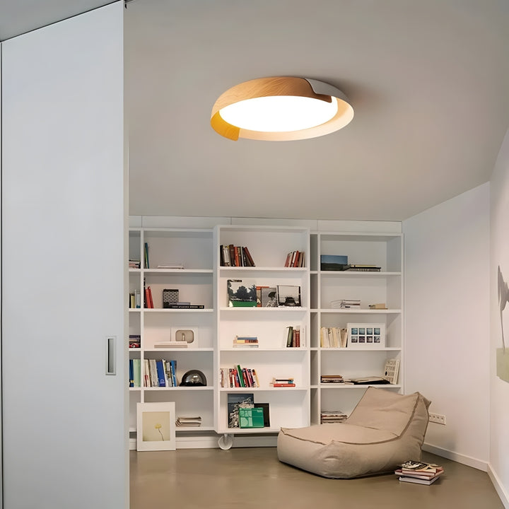 Fivora Ceiling Light