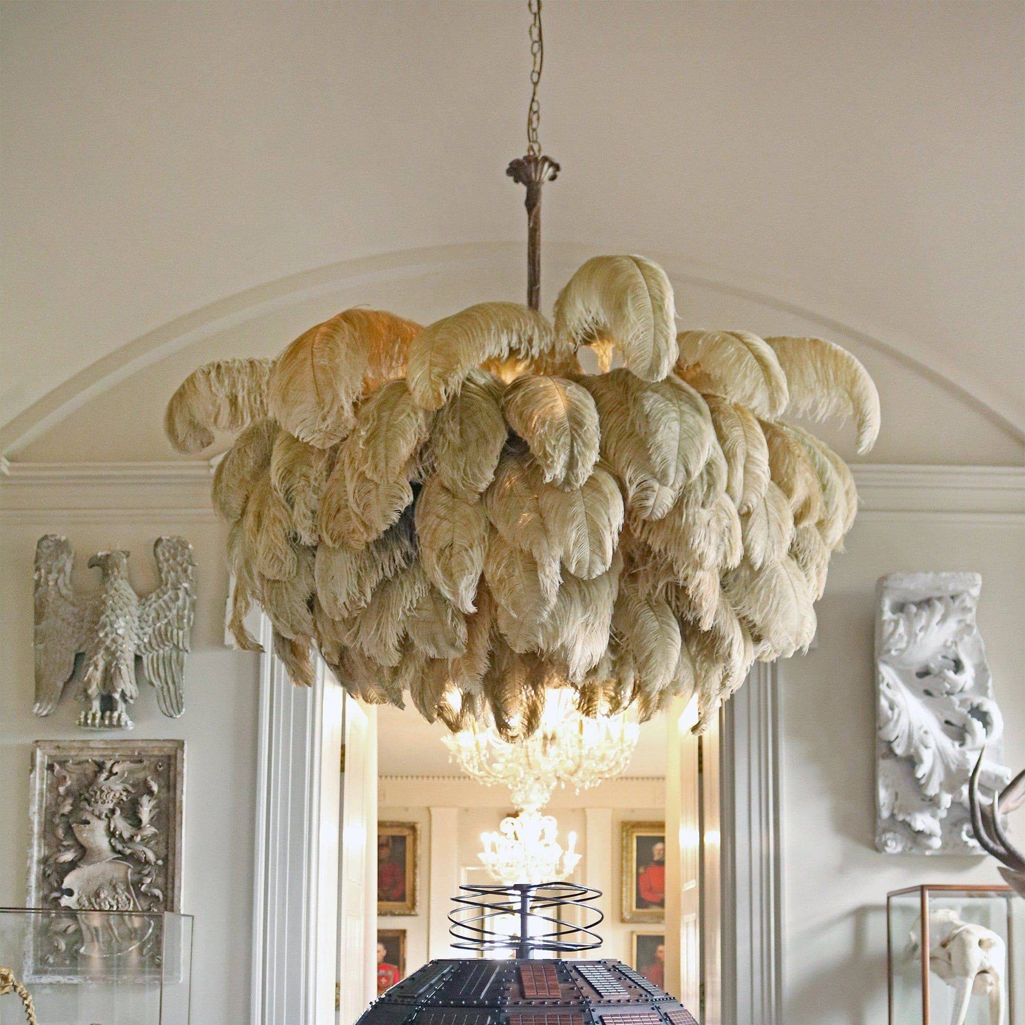 Ostrich Feather Chandelier