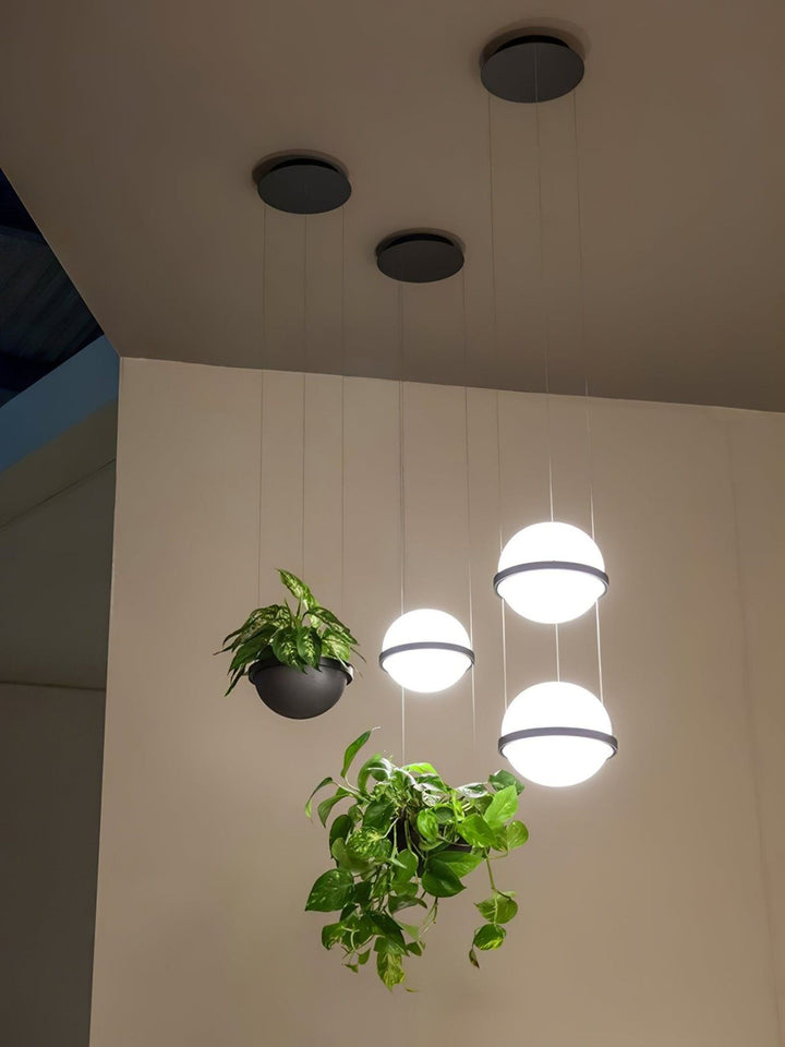 Palma Pendant Lamp – Modern Acrylic Light for modern foyers & More | Vinlighting