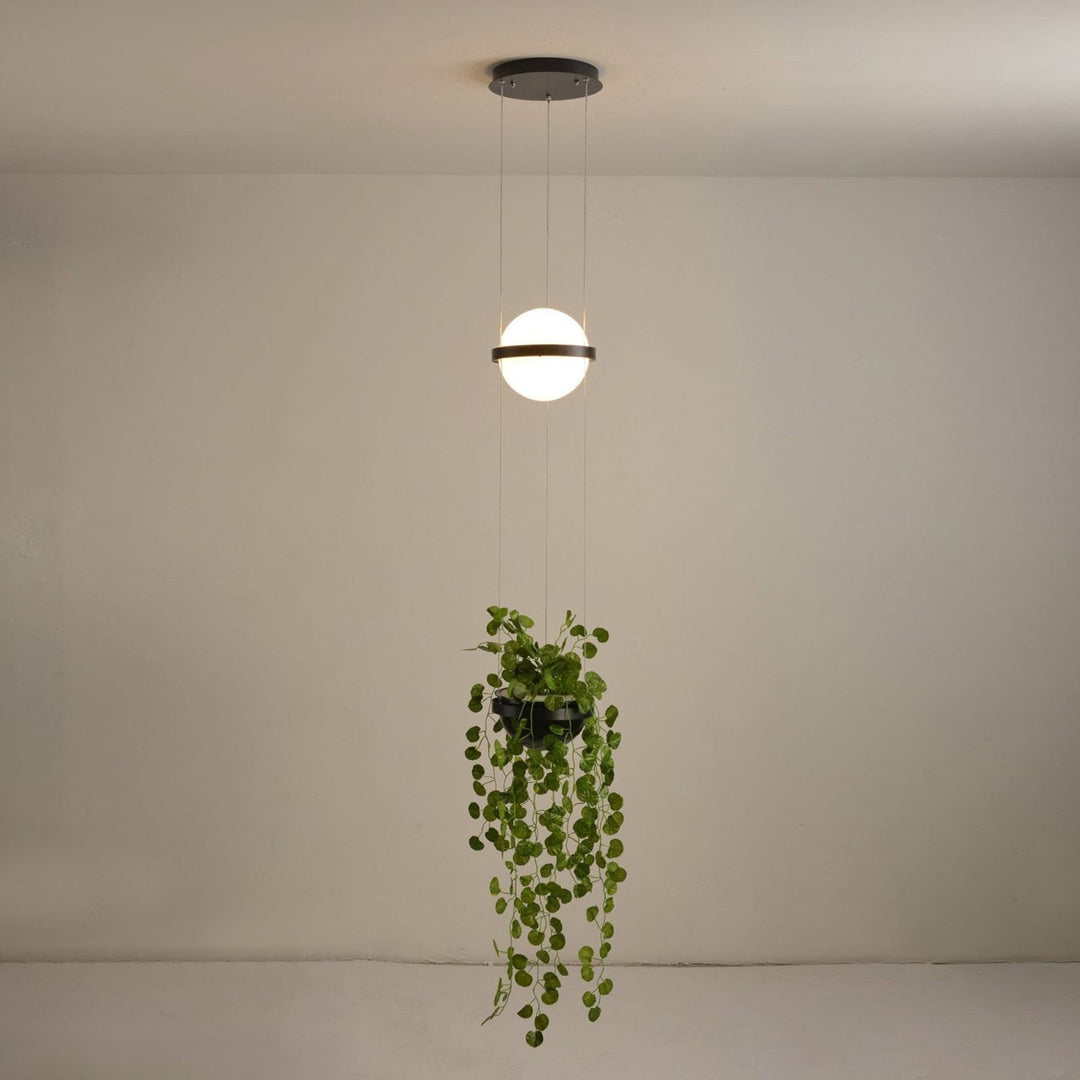 Palma Pendant Lamp – Modern Acrylic Light for modern foyers & More | Vinlighting