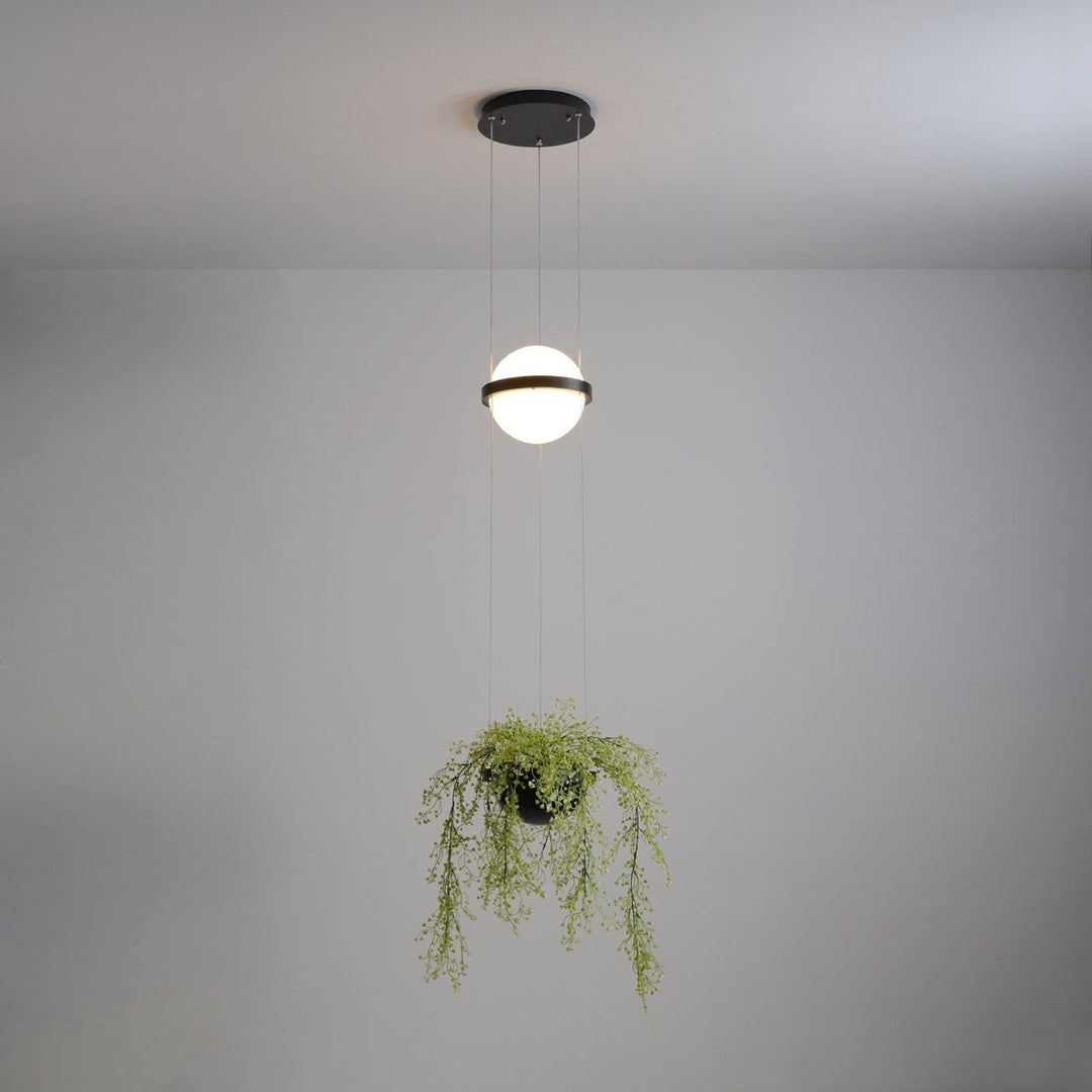 Palma Pendant Lamp – Modern Acrylic Light for modern foyers & More | Vinlighting