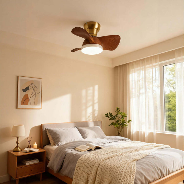 Ravine Fan Ceiling Light