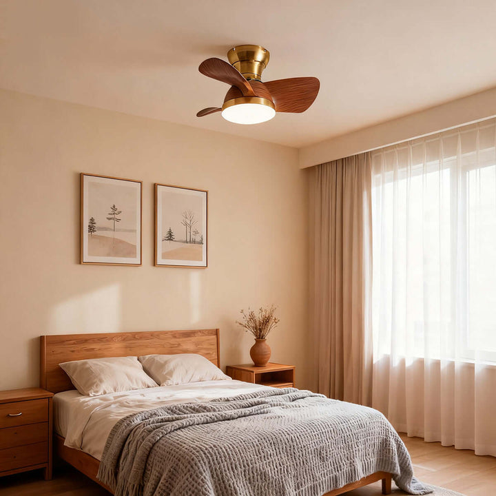 Ravine Fan Ceiling Light