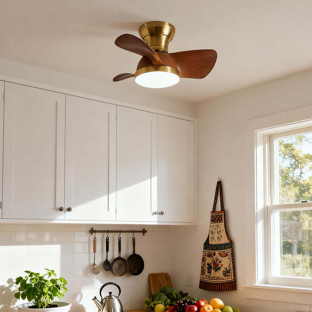 Ravine Fan Ceiling Light