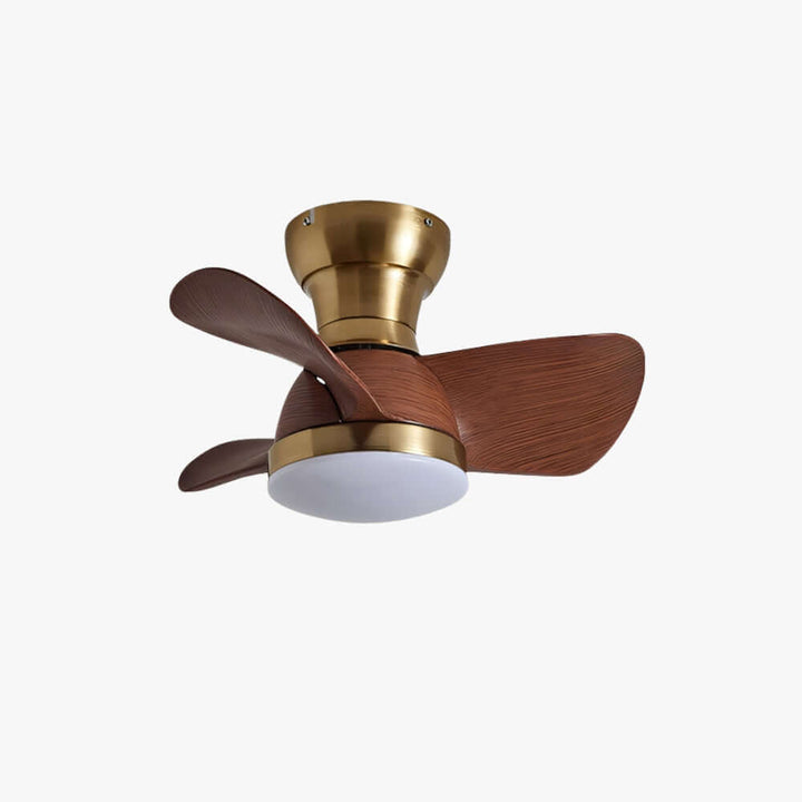 Ravine Fan Ceiling Light