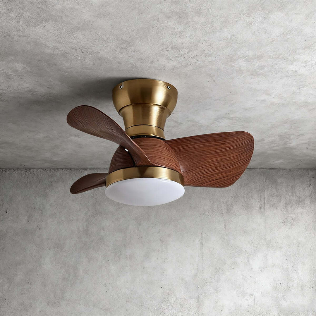 Ravine Fan Ceiling Light