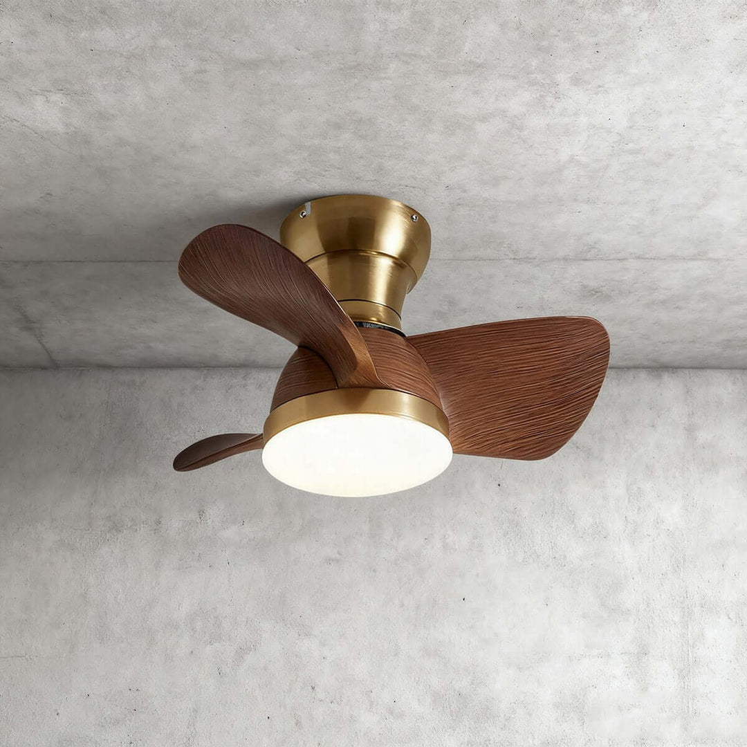 Ravine Fan Ceiling Light