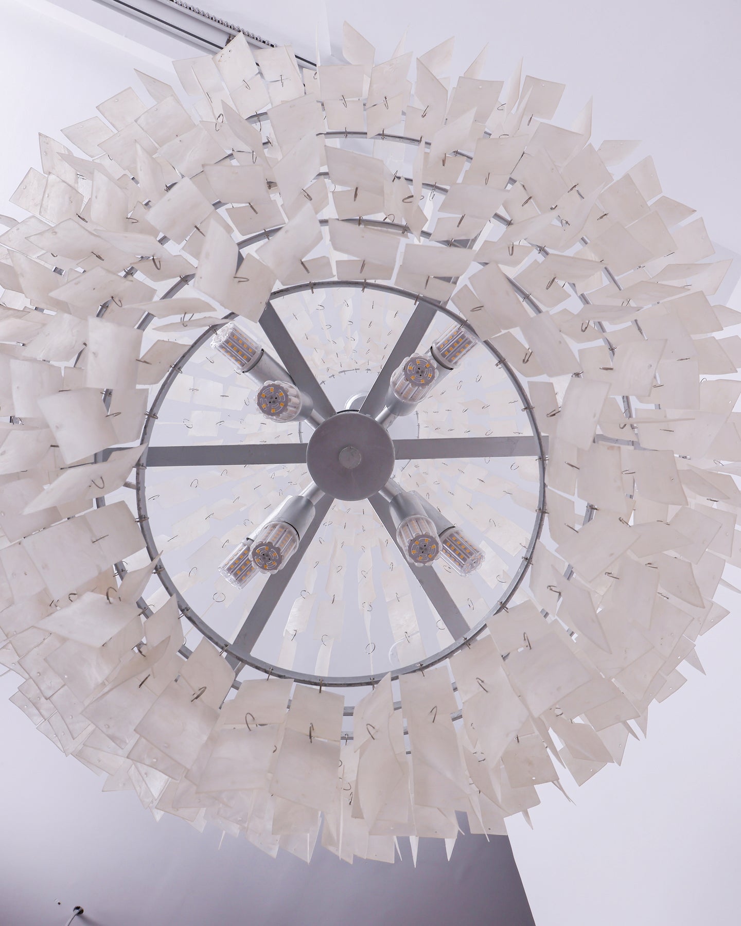 Skye Shell Chandelier