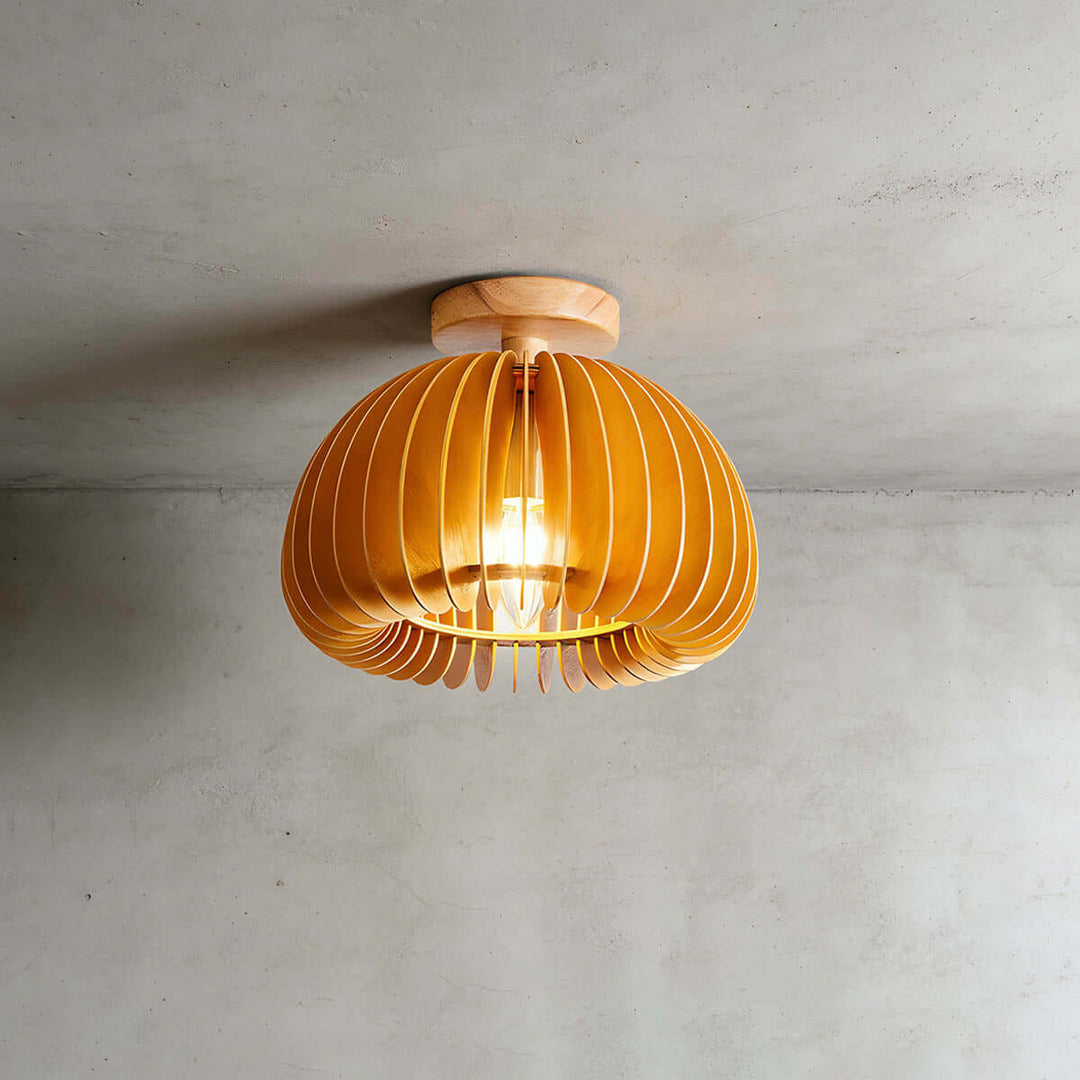 Toravi Ceiling Light