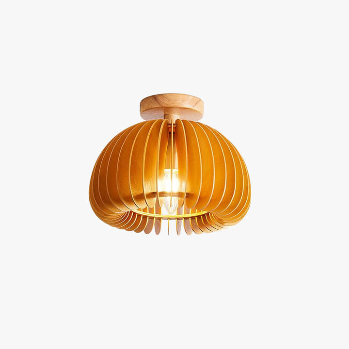 Toravi Ceiling Light