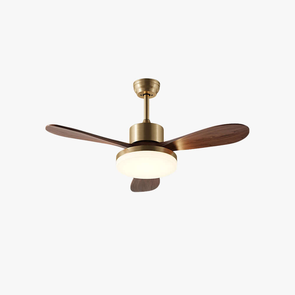 Trislow Ceiling Fan Light - Modern French Wood Dining Room