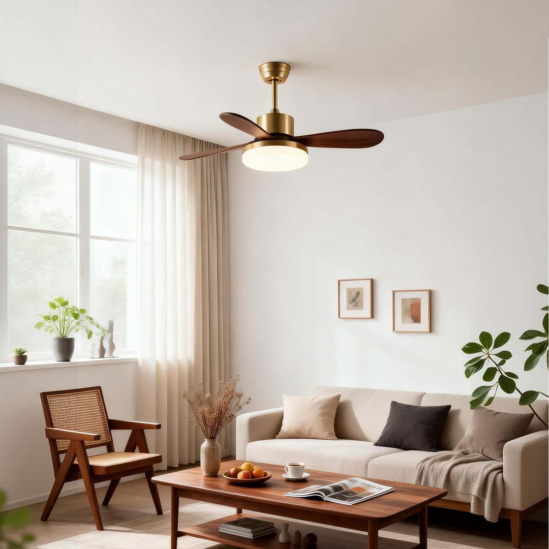 Trislow Ceiling Fan Light - Modern French Wood Dining Room