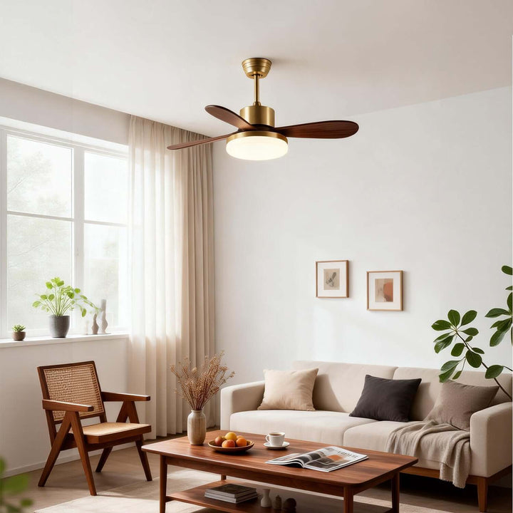 Trislow Ceiling Fan Light - Modern French Wood Dining Room