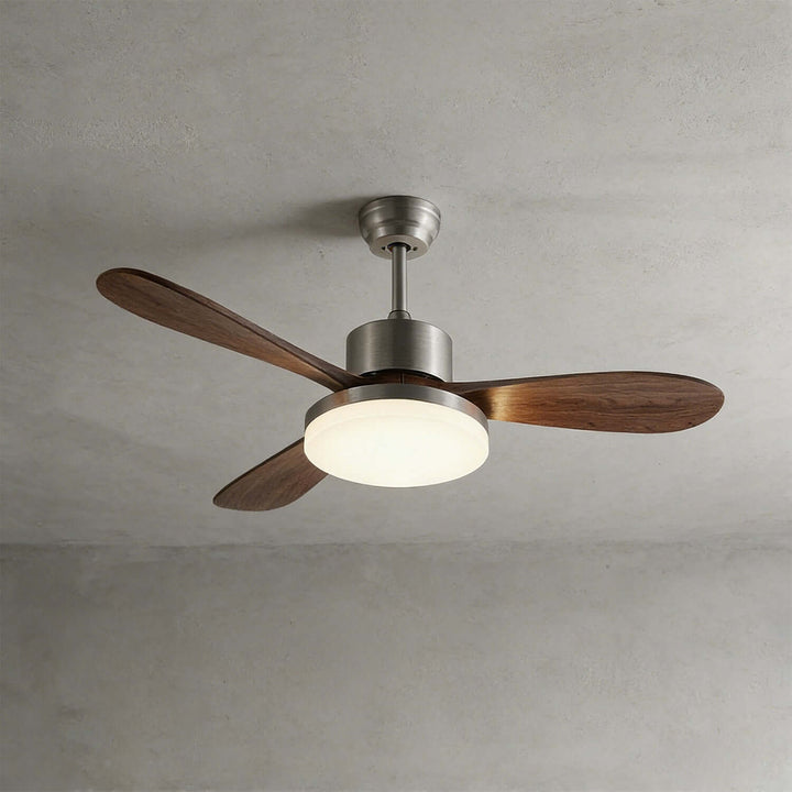 Trislow Ceiling Fan Light - Modern French Wood Dining Room