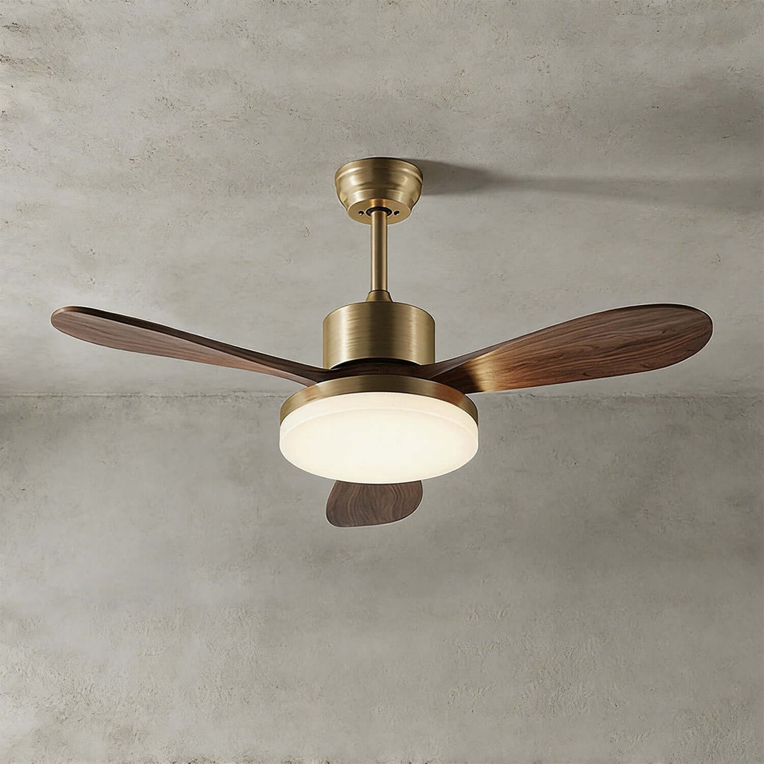 Trislow Ceiling Fan Light - Modern French Wood Dining Room