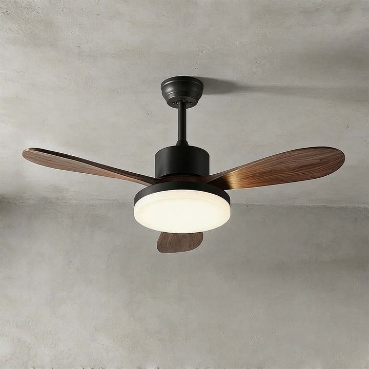 Trislow Ceiling Fan Light - Modern French Wood Dining Room