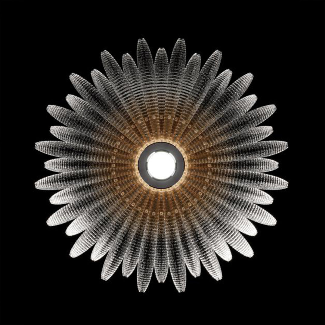 Veliro Ceiling Light
