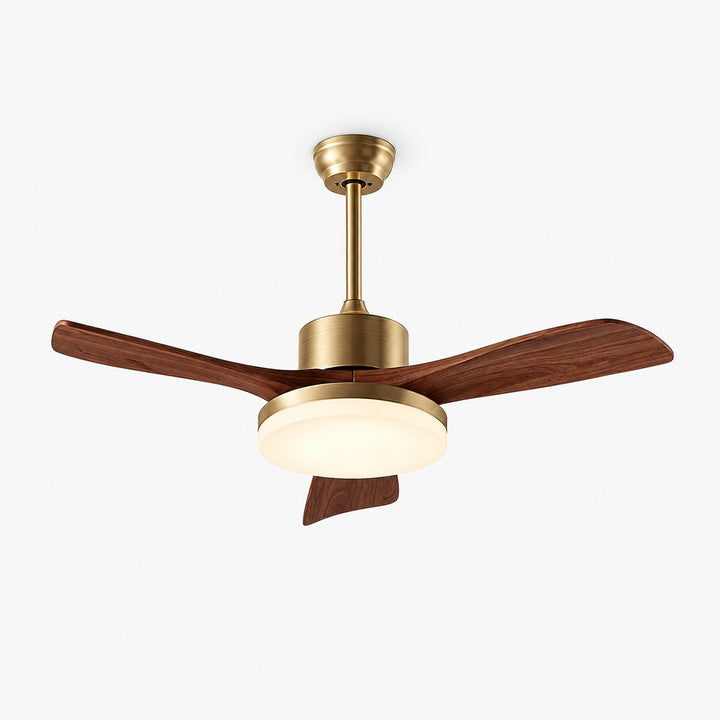 Vraxilo Ceiling Fan Light Style B