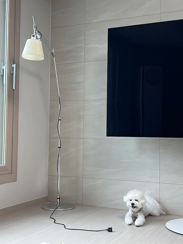 Wujilo Floor Lamp – Modern Simple Stylish Rocker Arm