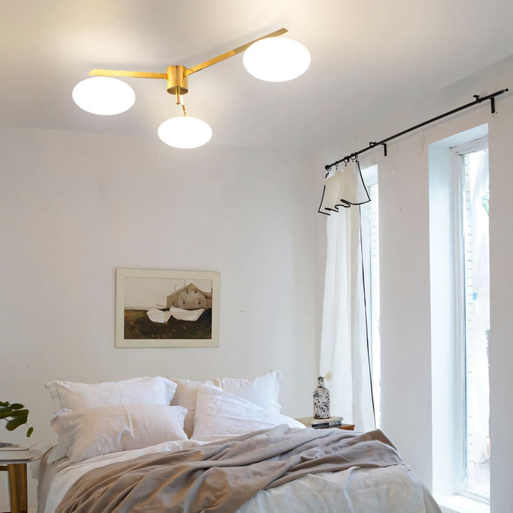Zylor Ceiling Light