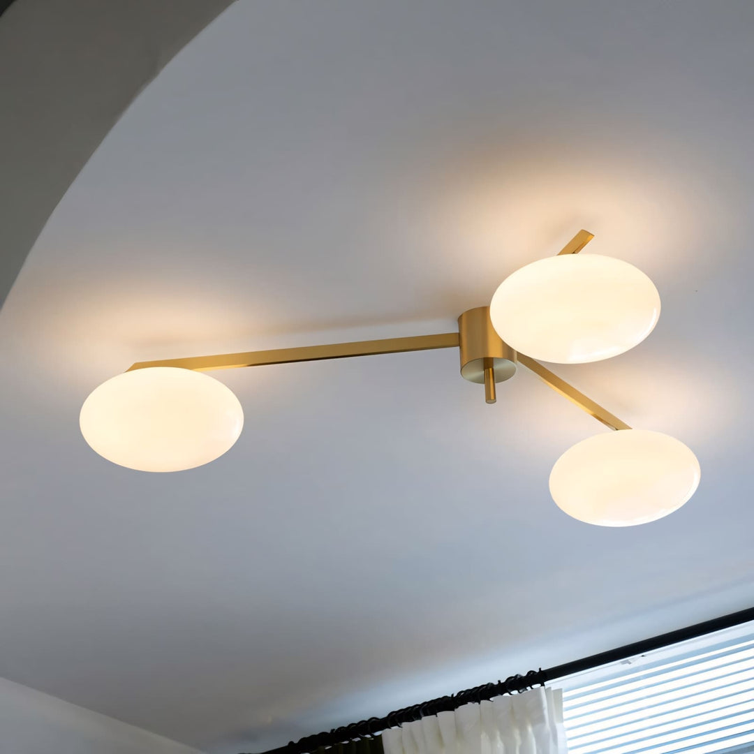 Zylor Ceiling Light