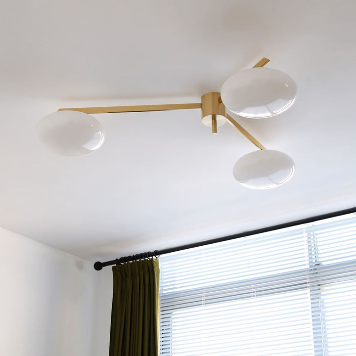 Zylor Ceiling Light