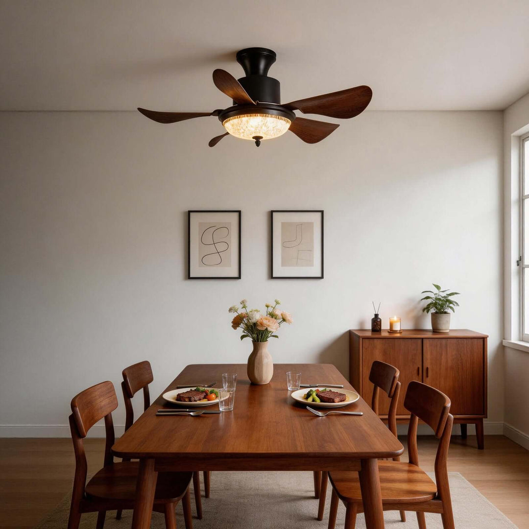 Kravos Ceiling Fan Light - French Vintage ABS Light