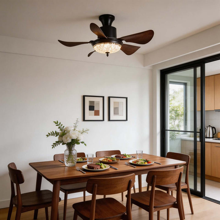 Kravos Ceiling Fan Light - French Vintage ABS Light