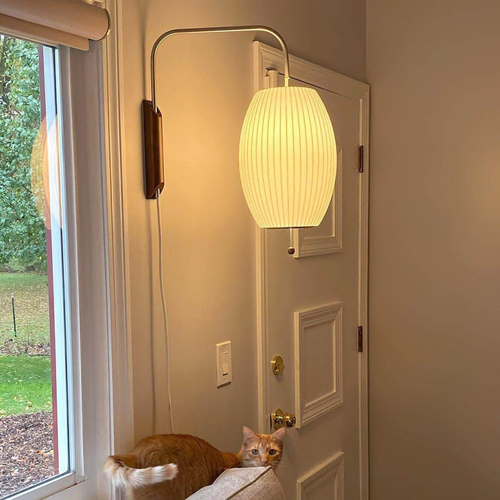 Glowing oval Bubble Ball wall sconce beside an entry door with a cat resting below