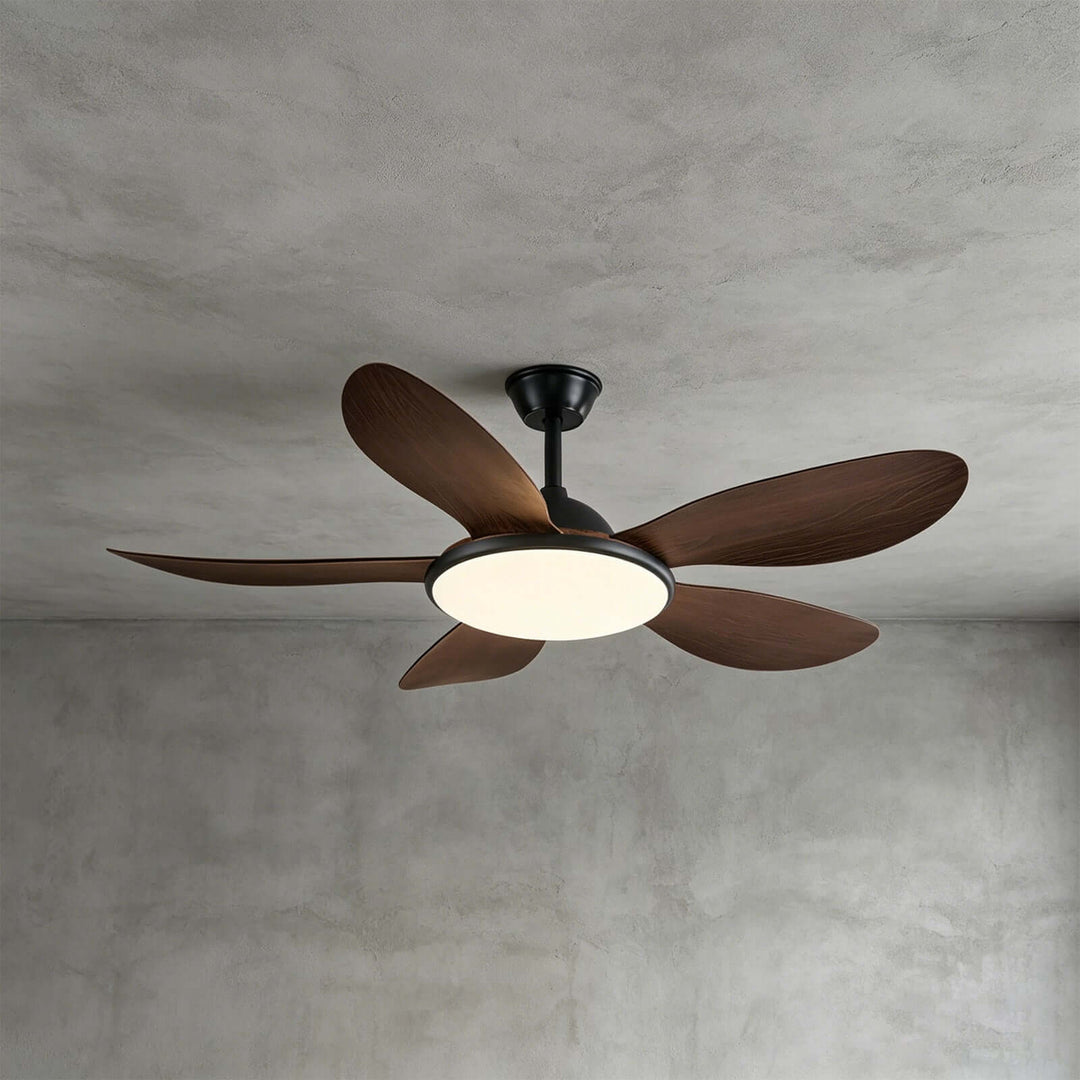 Kyzo Ceiling Fan Light | Modern Stylish Living Room Light