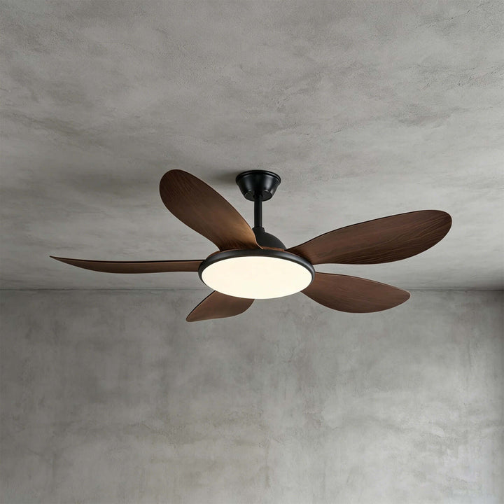 Kyzo Ceiling Fan Light | Modern Stylish Living Room Light